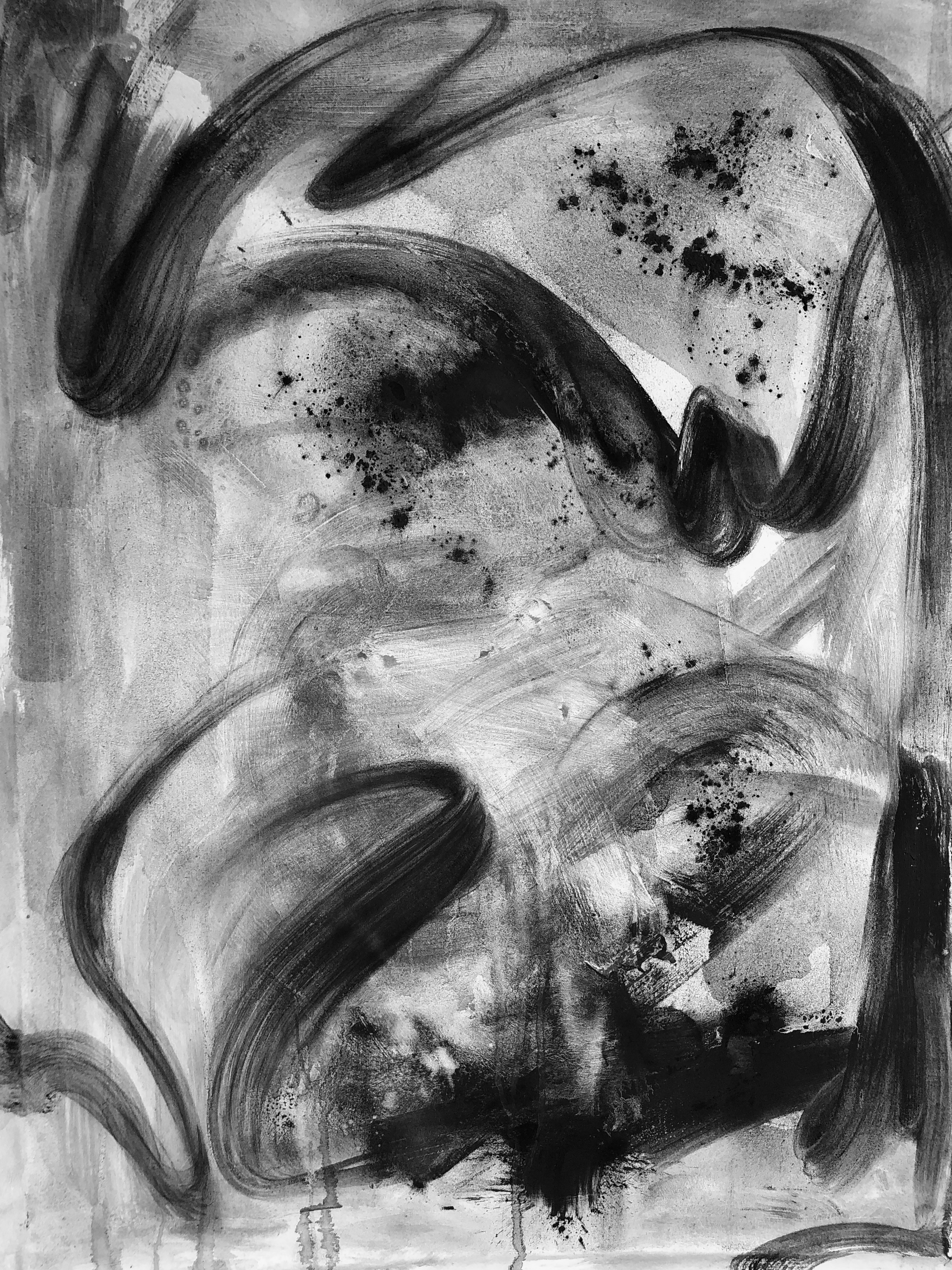 Echoes in Monochrome